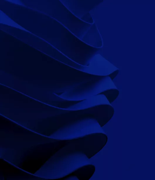 Footer graphic